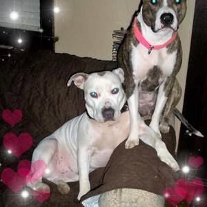 Meet your Posher, Cheryl sipe